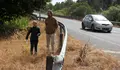 O BNG LEVOU AO CONGRESO O USO INDISCRIMINADO DE HERBICIDA NAS ESTRADAS  ESTATAIS