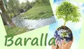 O BNG PROGRAMA DIVERSOS ACTOS ARREDOR DO DÍA DO MEDIO AMBIENTE