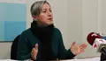 OS COLEXOS DE LUGO QUEDARÁN SEN A ACTIVIDADE DOS HORTOS ESCOLARES