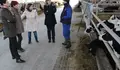 A vangarda do feminismo tamén está no rural