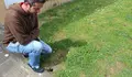 O BNG-Asembleas Abertas pide un plan de control de roedores en Lamas de Prado