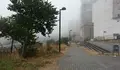 O BNG-AA pide a limpeza da maleza na Av. Infanta Elena en Paradai
