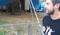 O BNG pedirá no pleno a actualización da Ordenanza Municipal de Protección Animal
