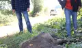 “Traballaremos coa veciñanza para eliminar os vertedoiros incontrolados do rural” 