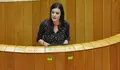 O BNG pedirá a reprobación da Subdelegación do Goberno en Lugo no Parlamento Galego