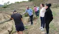 Olalla Rodil visitou viñedos afectados polas xeadas e reuniuse con viticultores na Ribeira Sacra