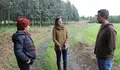 O BNG-AA proporá no Pleno a declaración do Concello de Lugo como zona libre de eucaliptos