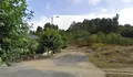 O BNG proponlle á alcaldesa que aplique o bando de limpeza de fincas nos terreos de propiedade pública