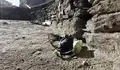 O BNG-AA propón unha campaña para evitar as bolsas con excrementos caninos no adarve da Muralla