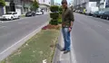 O BNG-AA preguntará pola morte de pombas no entorno do parque Rosalía de Castro