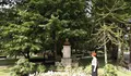 O BNG solicita unha mellora da imaxe da estatua de Rosalía de Castro