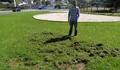 O BNG propón un plan de vixilancia da expansión do xabarín e de control dos danos 