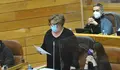Carme Aira “O BNG non avala a lei imposta polo PP sobre a terra agraria”