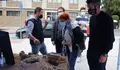 Rubén Arroxo e Maite Ferreiro participan na demostración de bolos celtas do San Froilán
