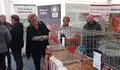 O BNG participa na XII Expo-degustación da Galiña de Mos