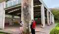O BNG presenta enmendas aos orzamentos da Xunta de Galiza para dar respostas ás principais demandas da veciñanza de Guitiriz