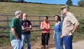 O BNG esixe á Consellería do Medio Rural que poña os medios necesarios para deter a hemorraxia epizoótica que afecta a montaña lucense