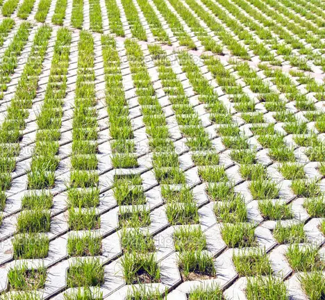 Ecological parking for cars and a green grass