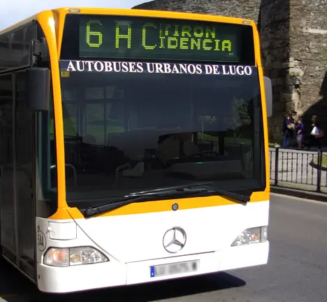 bus