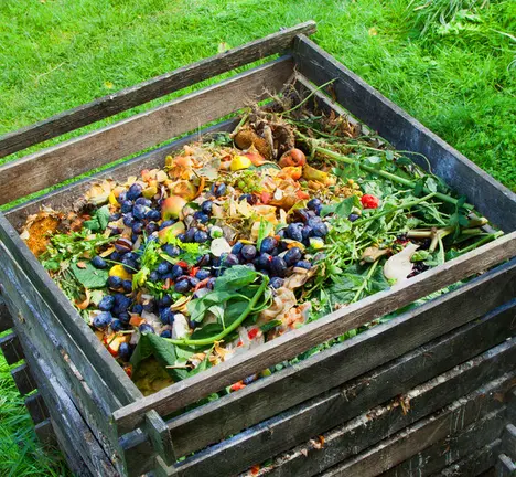 Compost bin in the garden. Composting pile of rotting kitchen fruits and vegetable scraps