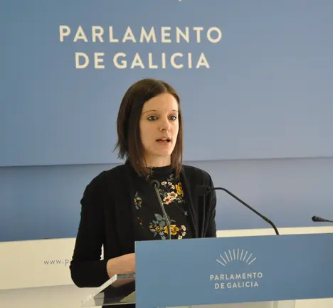 Olalla Rodil. Parlamento2
