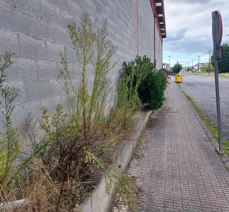 Rueiro de Castro Ribeiras de Lea